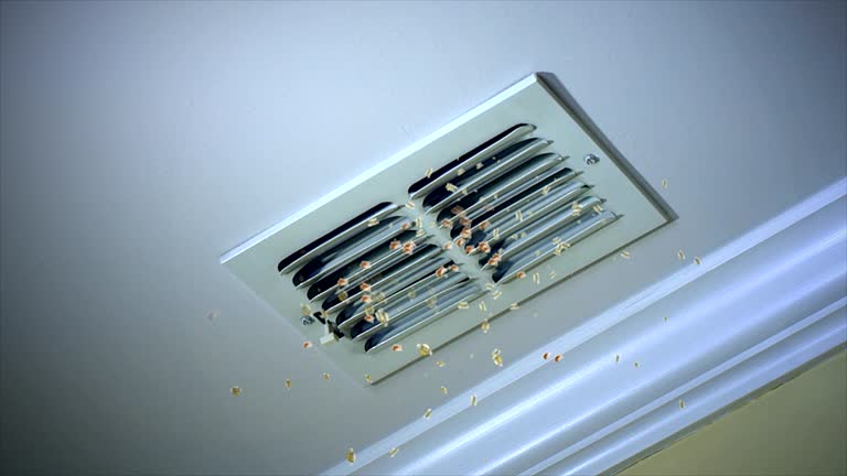 Best Local Air Duct Cleaning Services  in Corydon, IA
