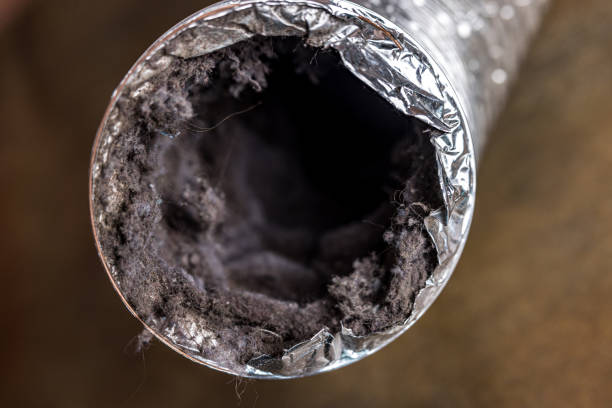 Best Affordable HVAC Duct Cleaning  in Corydon, IA