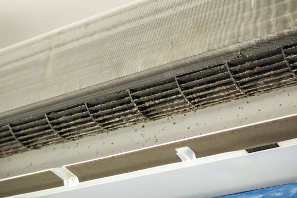 Best Air Duct Cleaning Near Me  in Corydon, IA